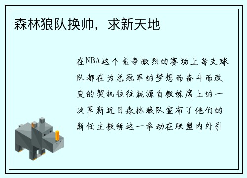 森林狼队换帅，求新天地