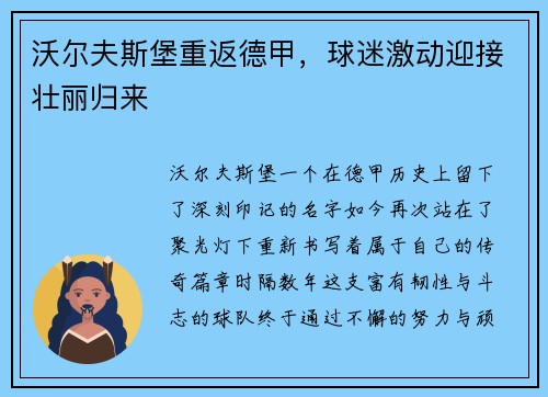 沃尔夫斯堡重返德甲，球迷激动迎接壮丽归来